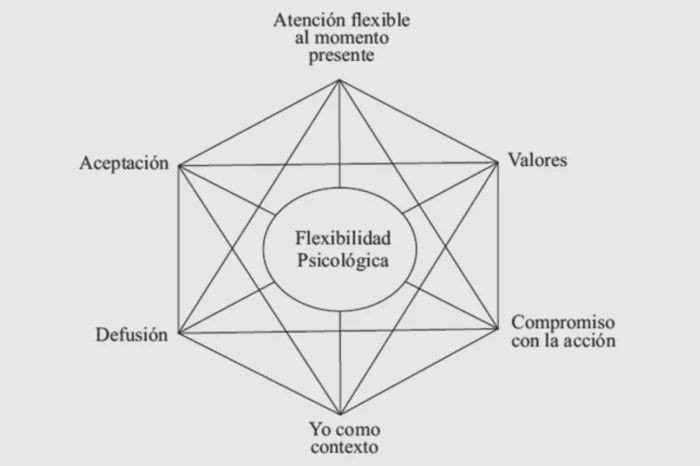 Terapia de Aceptación y Compromiso
