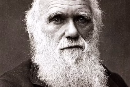 La TBNS, Darwin y la evolución: el origen funcional de las emociones sociales
